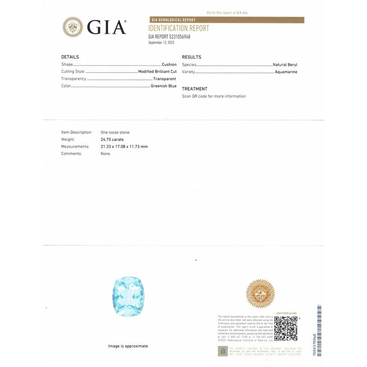 24.5 Carat Aquamarine & Diamond 18 Karat White Gold Pendant GIA Certified